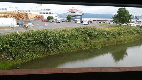 King Kitchenette Suite with View and Balcony (Non-Pet Friendly) Photo 1