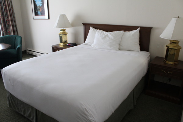 Dog-Friendly King with Marina View and Balcony Photo 1